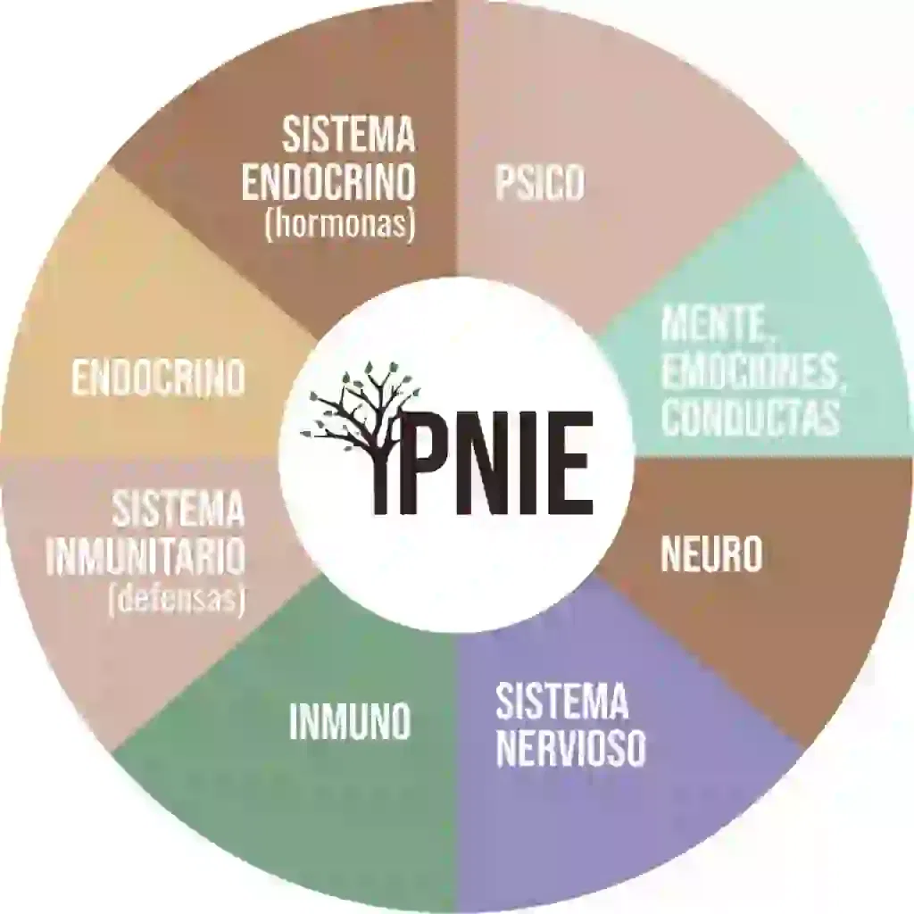 Diagrama PNIE
